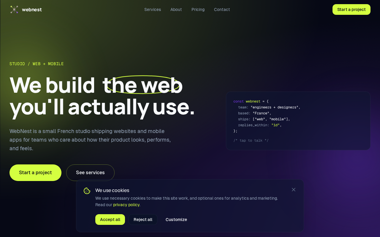 Screenshot of web-nest.com